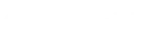 EcoRisk